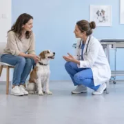 Une propriétaire et un vétérinaire observent un chien assis dans une salle de consultation.