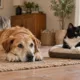 Un chien se repose sur un tapis et un chat sur un coussin dans un salon.