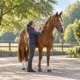 Une cavalière brosse l’encolure d’un cheval dans une cour d’écurie.